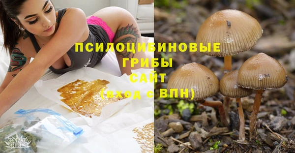 гашик Алзамай