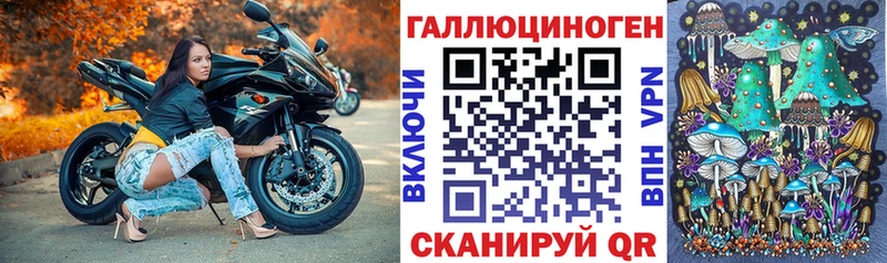 mega как зайти  купить наркотик  Махачкала  Псилоцибиновые грибы Magic Shrooms 