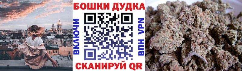 Бошки марихуана VHQ  как найти   Махачкала 